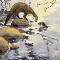 The Witch's' Wisdom Tarot Set