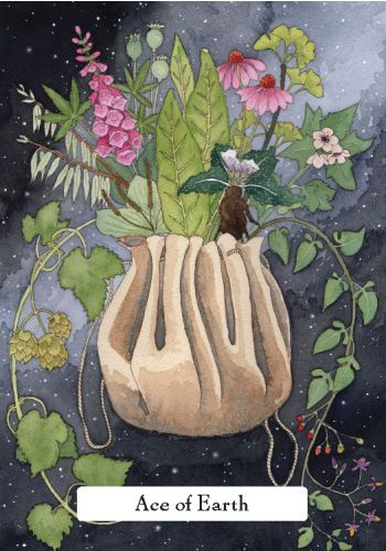 The Witch's' Wisdom Tarot Set