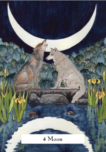 The Witch's' Wisdom Tarot Set