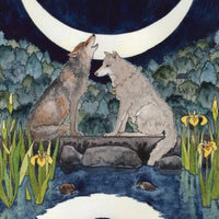 The Witch's' Wisdom Tarot Set