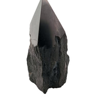Shungite Point