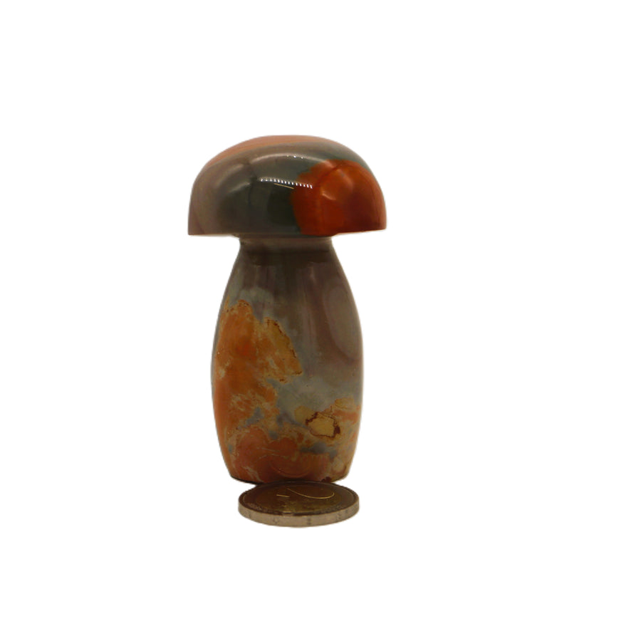 Polychrome Jasper Mushroom