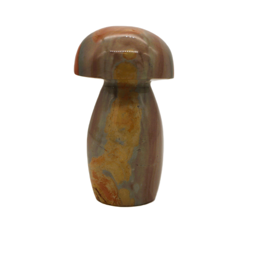 Polychrome Jasper Mushroom