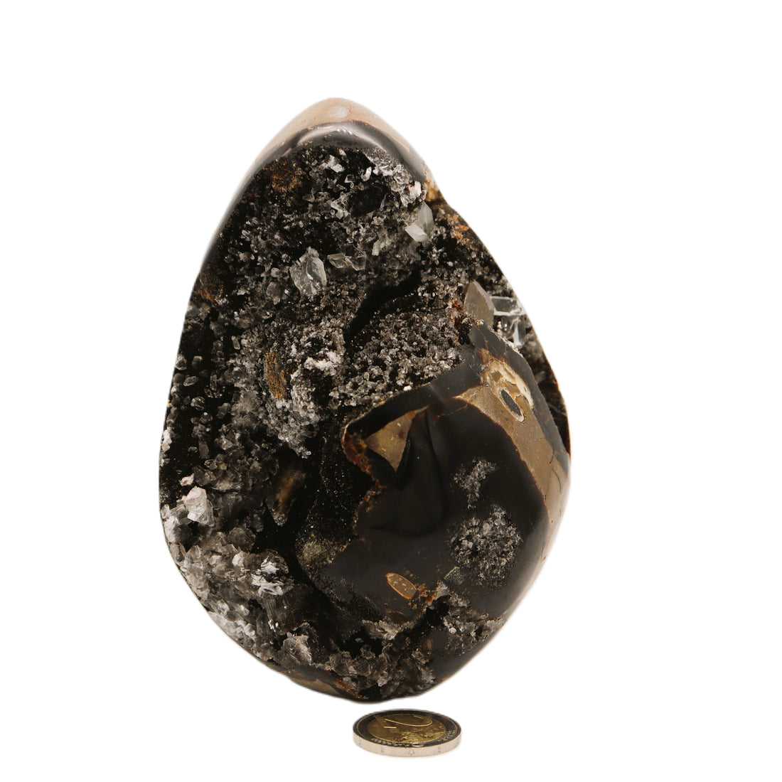 Septarian Egg