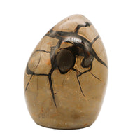 Septarian Egg