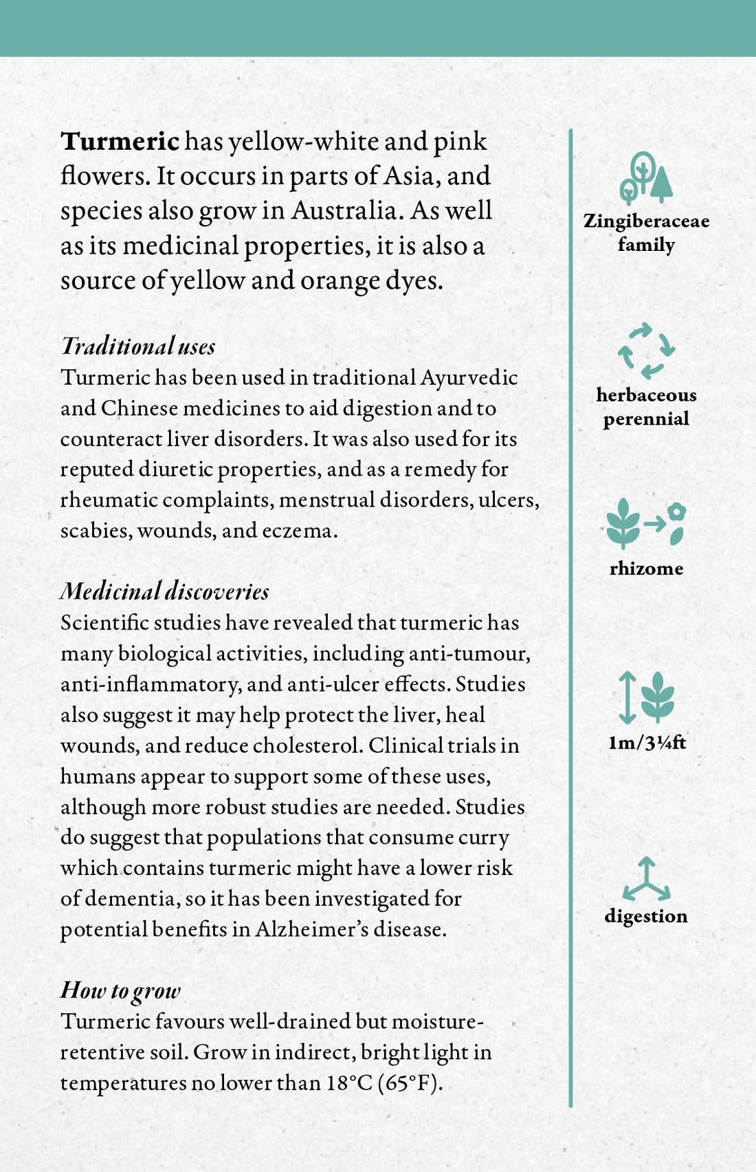 Cabinet Full of Medicinal Plants
