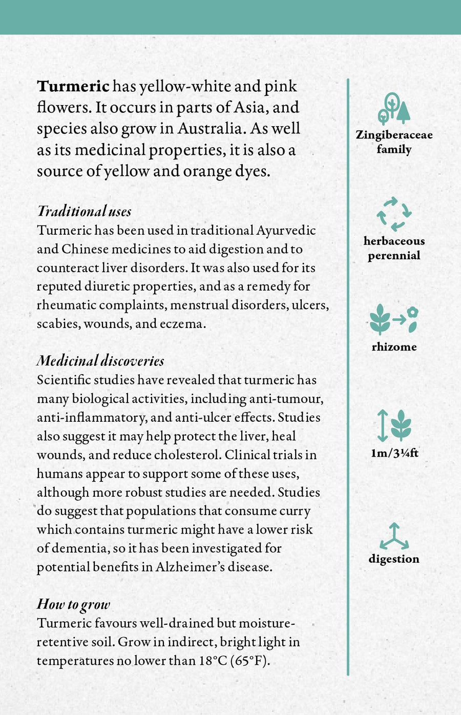 Cabinet Full of Medicinal Plants