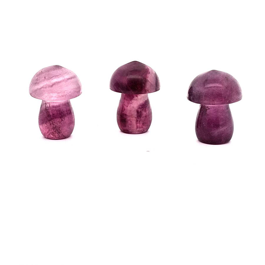 Fluorite, Purple, Mushroom - One Piece