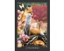 Guardian of the Night Tarot