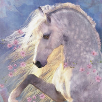 ORACLE OF THE SACRED HORSE