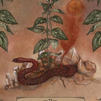 Herbal Astrology Pocket