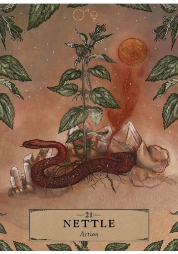 Herbal Astrology Pocket