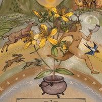 Herbal Astrology Pocket