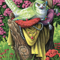 Tarot Of The Owls