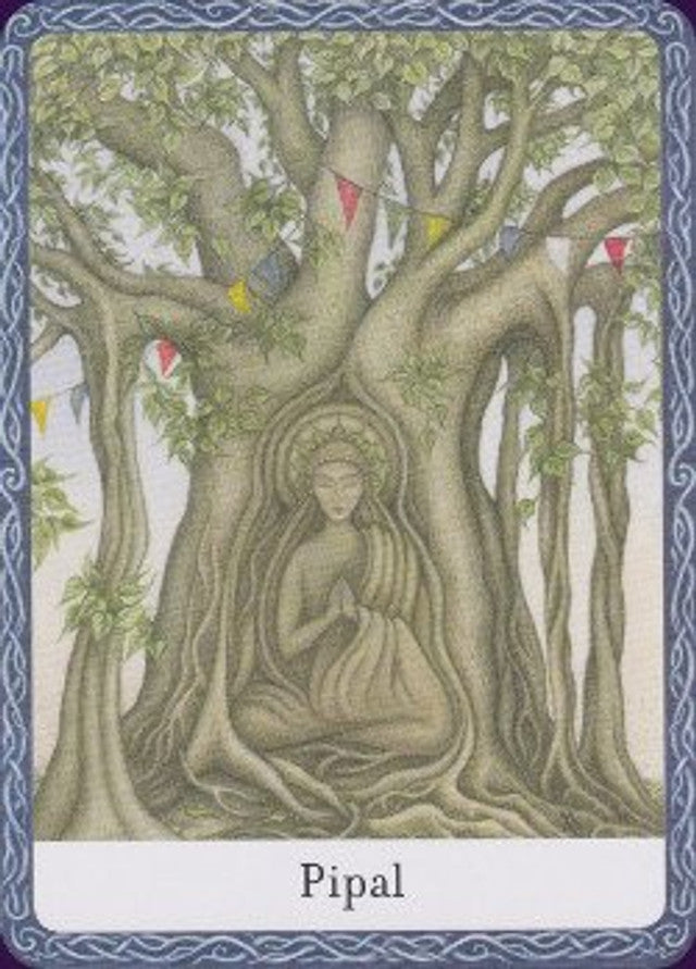 Wisdom of Trees Oracle