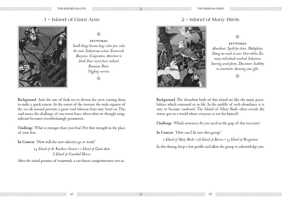 Celtic Book of The Dead Oracle