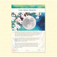 Celtic Moon - Perpetual Diary & Monthly Guide
