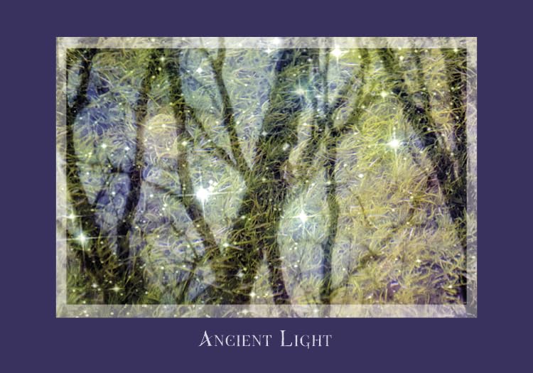 Gaia's Vision Oracle Cards