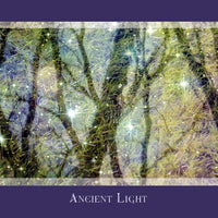 Gaia's Vision Oracle Cards