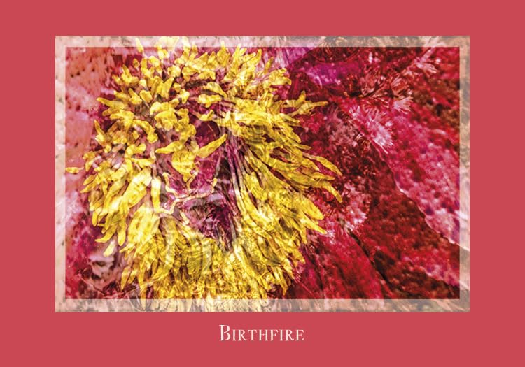 Gaia's Vision Oracle Cards