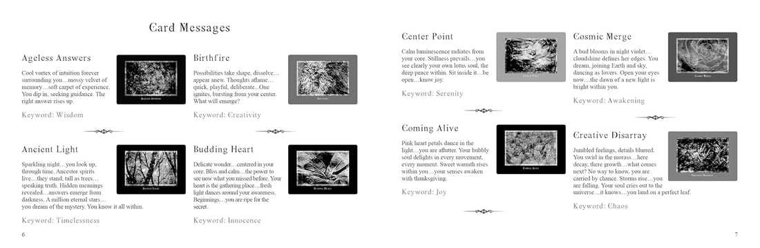 Gaia's Vision Oracle Cards