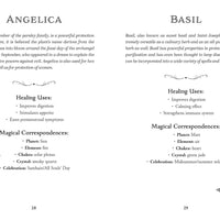 The Green Witch's Deck of Magical Herbalism