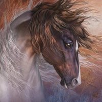 Horse Wisdom Oracle