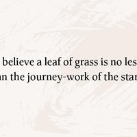 Leaves of Wisdom
