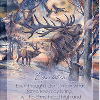 The Light Within Oracle