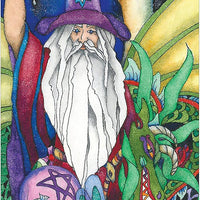 Tarot Of A Moon Garden Borderless Deck & Book Set