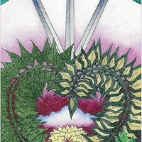 Tarot Of A Moon Garden Borderless Deck & Book Set