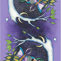 Tarot Of A Moon Garden Borderless Deck & Book Set