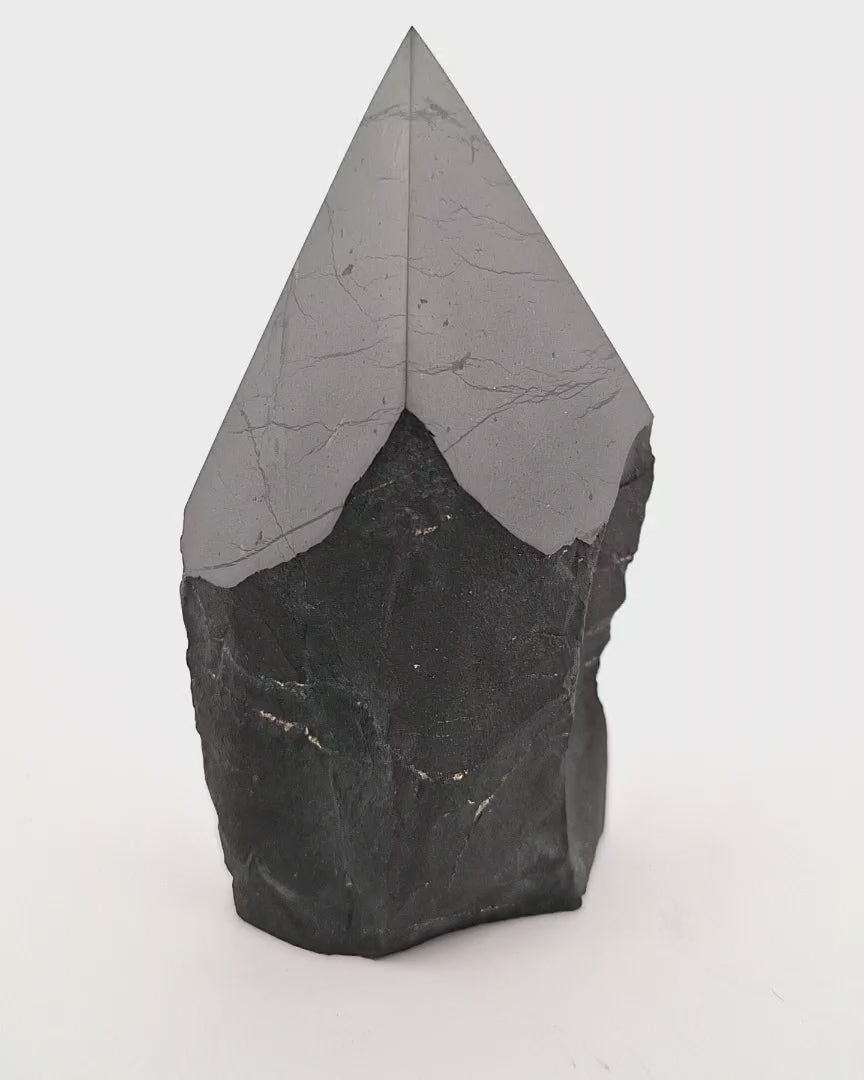 Shungite Point