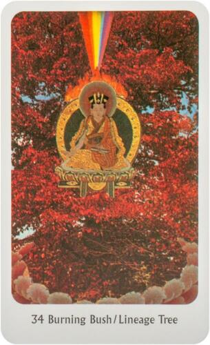 Tantric Dakini Oracle