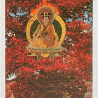 Tantric Dakini Oracle
