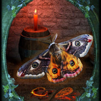 Witches' Familiars Oracle