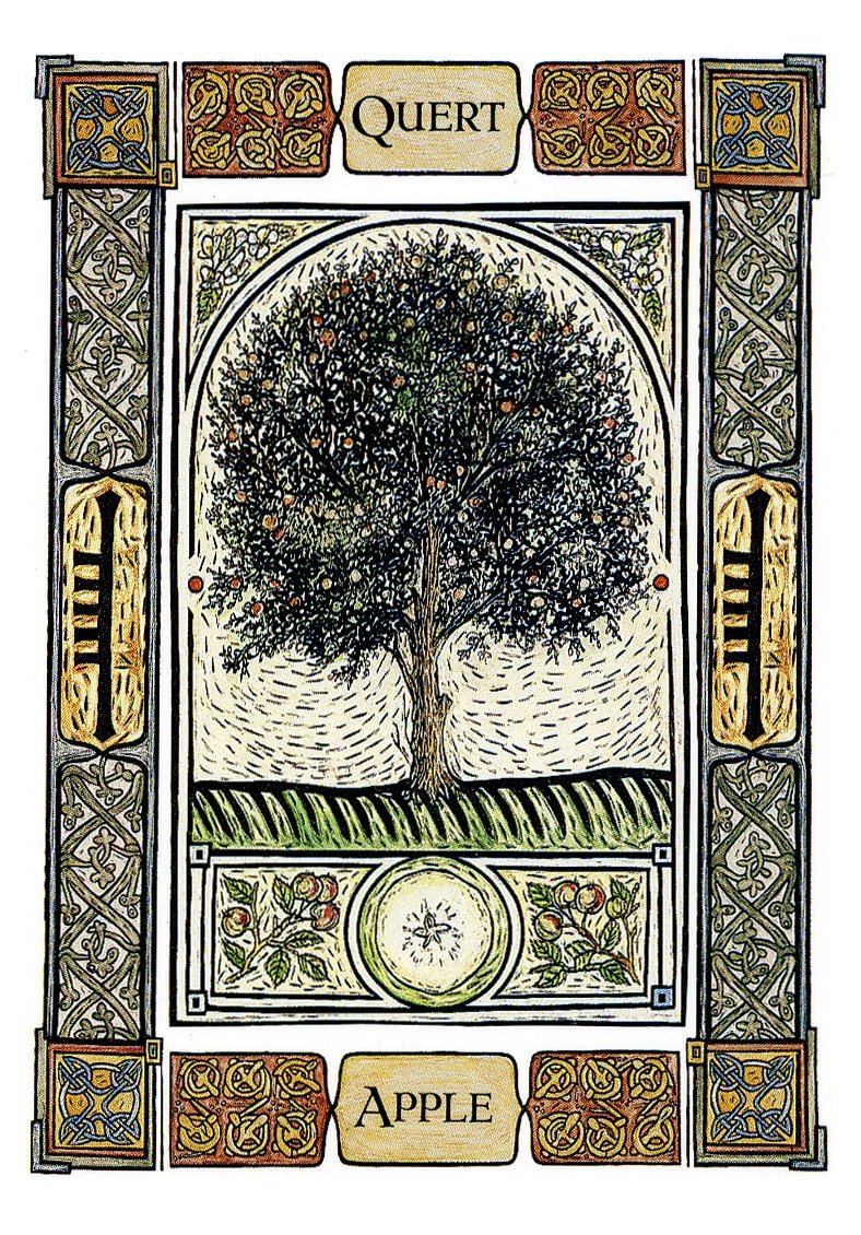 Celtic Tree Oracle