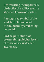 Nature's Wisdom Message Cards