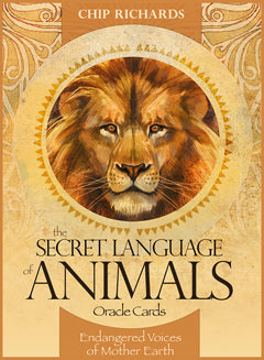 Secret Language of Animals Cards